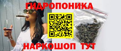 стаф Гагарин