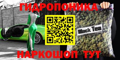 твердый Гатчина