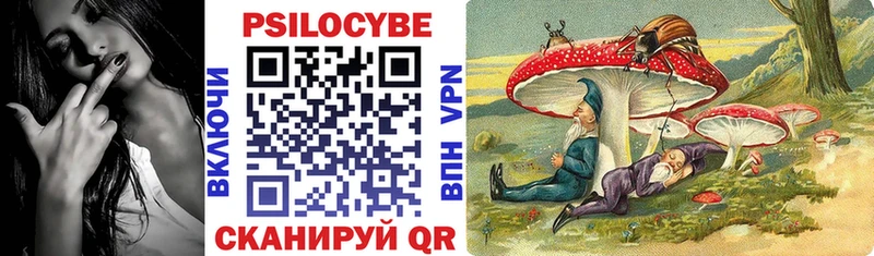 shop телеграм  ссылка на мегу   Видное  Псилоцибиновые грибы ЛСД 
