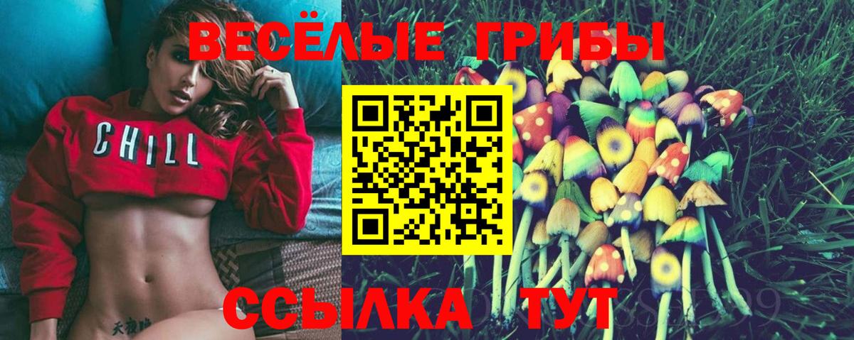 Псилоцибиновые грибы Magic Shrooms Видное