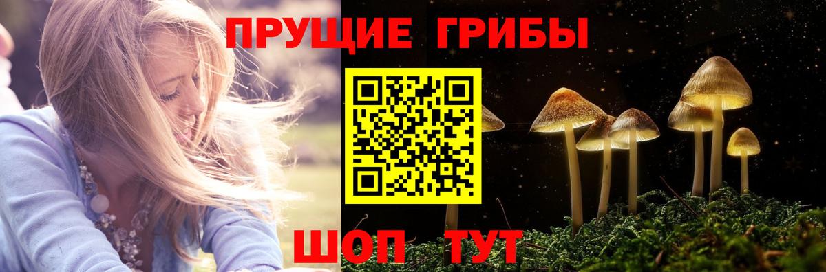 Псилоцибиновые грибы Psilocybine cubensis  Галлюциногенные грибы Cubensis  Видное  Вход с VPN 