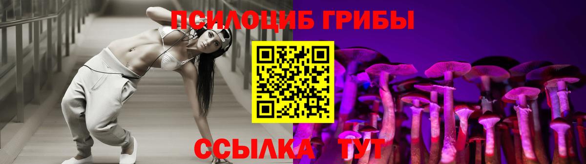 Галлюциногенные грибы ЛСД  Видное  Псилоцибиновые грибы Psilocybe 