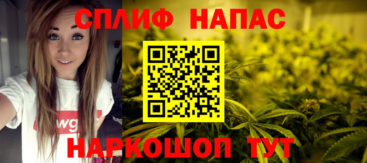 Каннабис планчик Видное